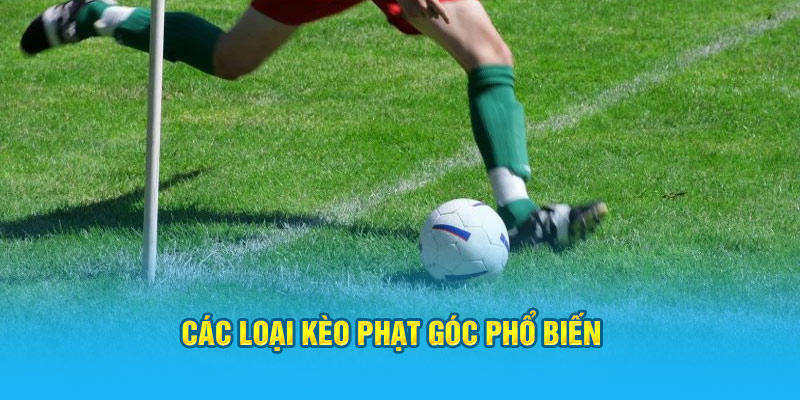 Các loại kèo phạt góc phổ biến