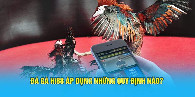 Đá gà Hi88 áp dụng những quy định nào?