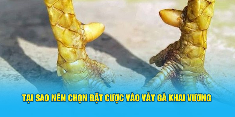 Tại sao nên chọn đặt cược vào vảy gà khai vương