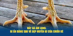 vảy gà ám long