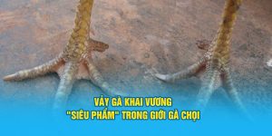 Vảy gà khai vương